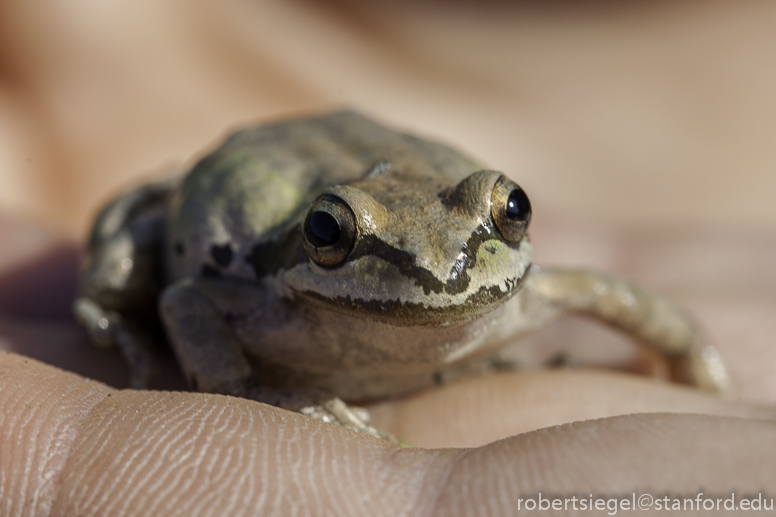 bioblitz2015